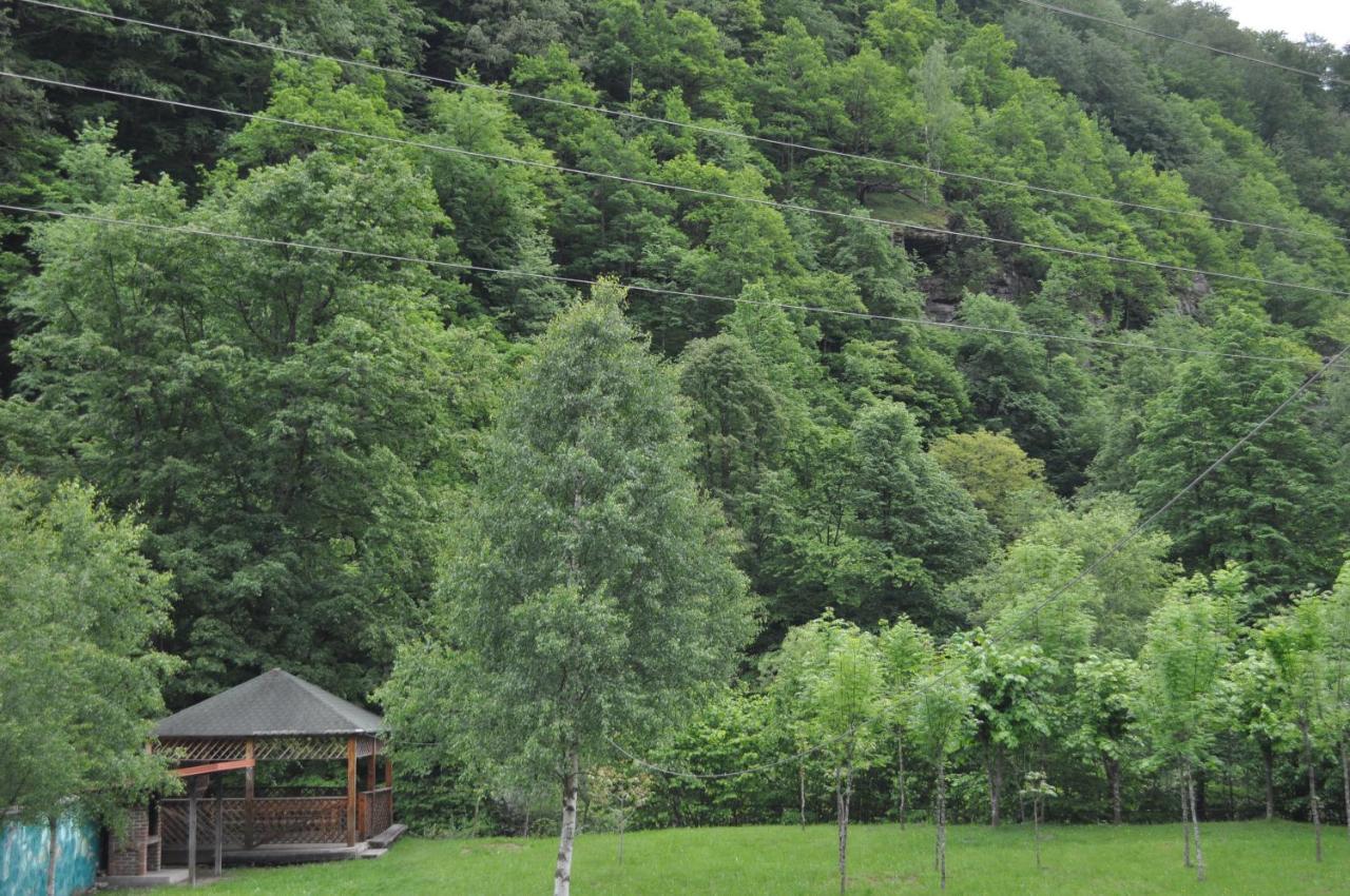 Casa Verde Otel Rîu de Mori Dış mekan fotoğraf