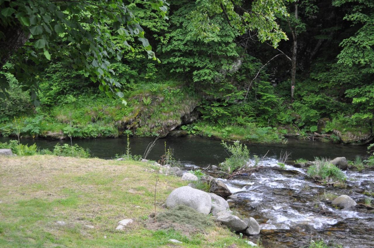 Casa Verde Otel Rîu de Mori Dış mekan fotoğraf