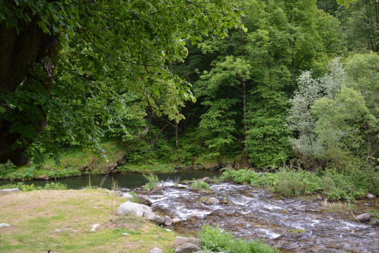 Casa Verde Otel Rîu de Mori Dış mekan fotoğraf