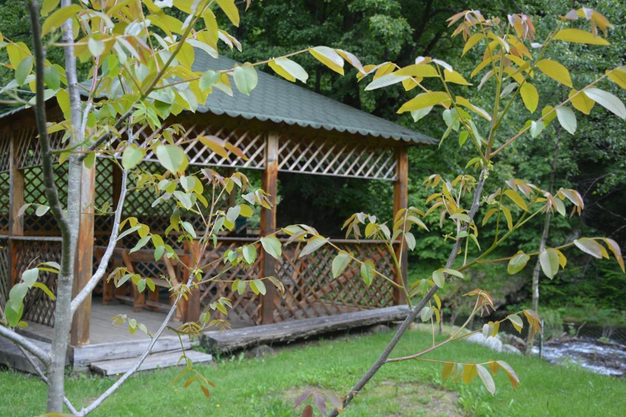 Casa Verde Otel Rîu de Mori Dış mekan fotoğraf