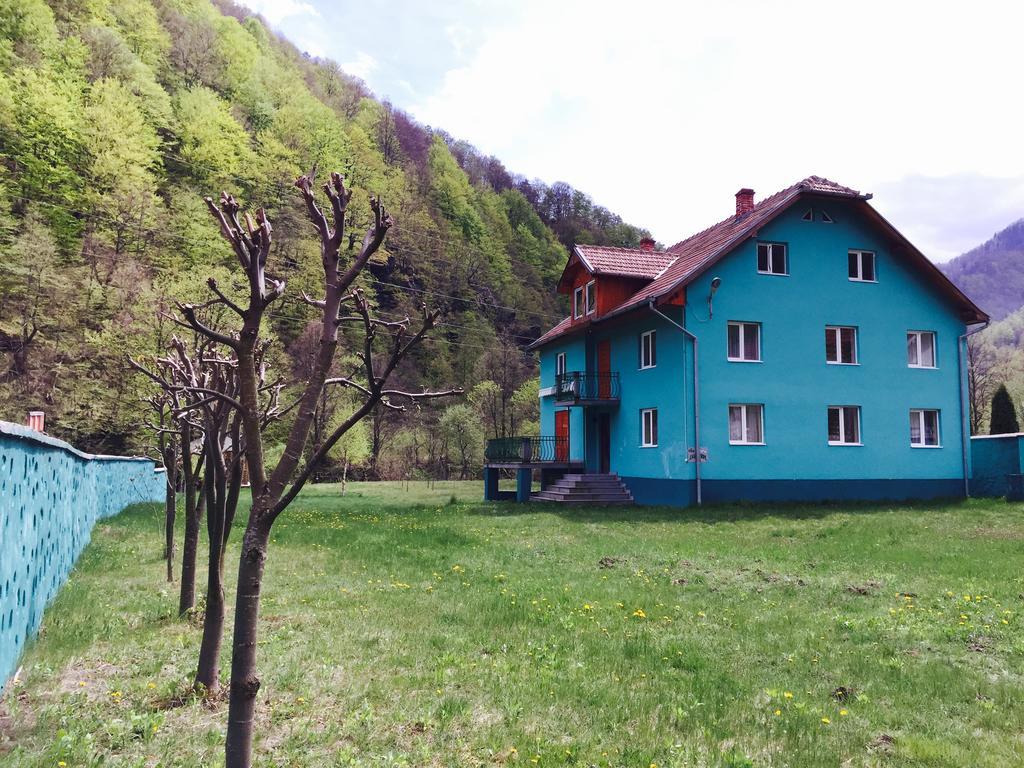 Casa Verde Otel Rîu de Mori Dış mekan fotoğraf